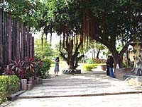 新港鐵路公園一景
