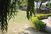 新港鐵路公園一景